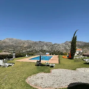 Cedro Alto Spain